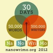 NaNoWriMo = National Novel Writing Month NaNoWriMo = National Novel Writing Month