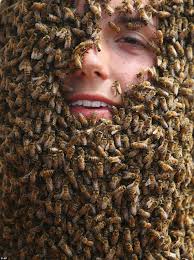 The person is obscured by bees, get it? Obscure Beeminder features? Or it's a representation of what it would feel like to actually know all this apiological esoterica. Person covered in bees