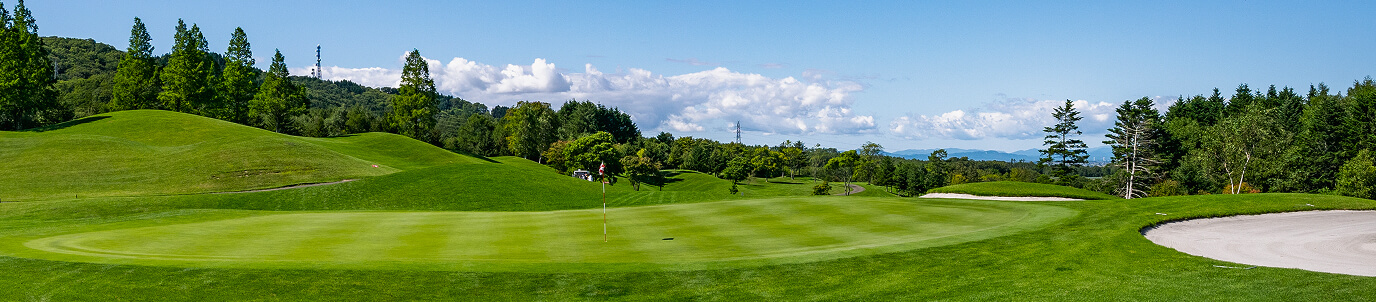 The green of a golf course hole