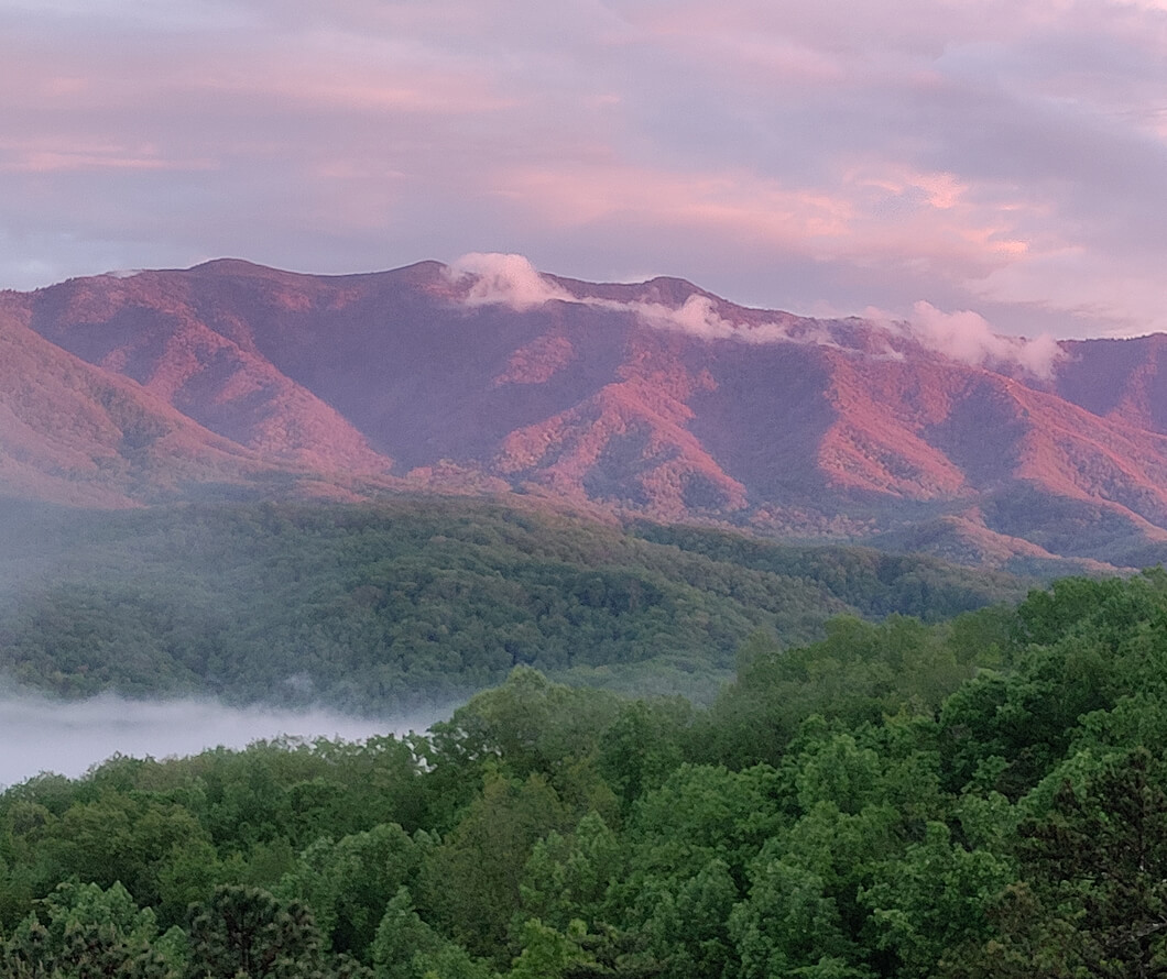 A misty mountain and forest at sunset